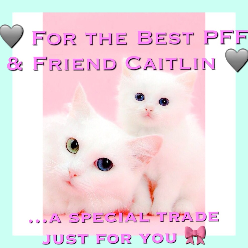 ❣️ON HOLD - CAiTLiN❣️💜TrAdE bUnDLe fOr PFF💜